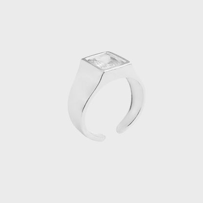 Falange com Zircônia Branca